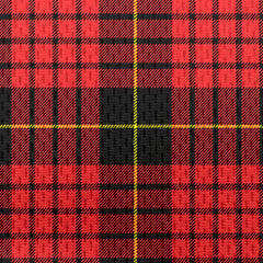 MacQueen Tartan Polo Shirt - Bird Eyes Mesh Fabric