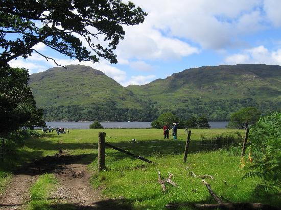 History of Clan MacKinnon