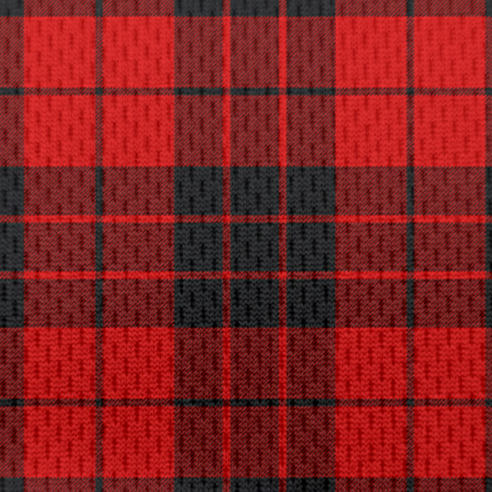 MacLeod of Raasay Tartan Polo Shirt - Bird Eyes Mesh Fabric