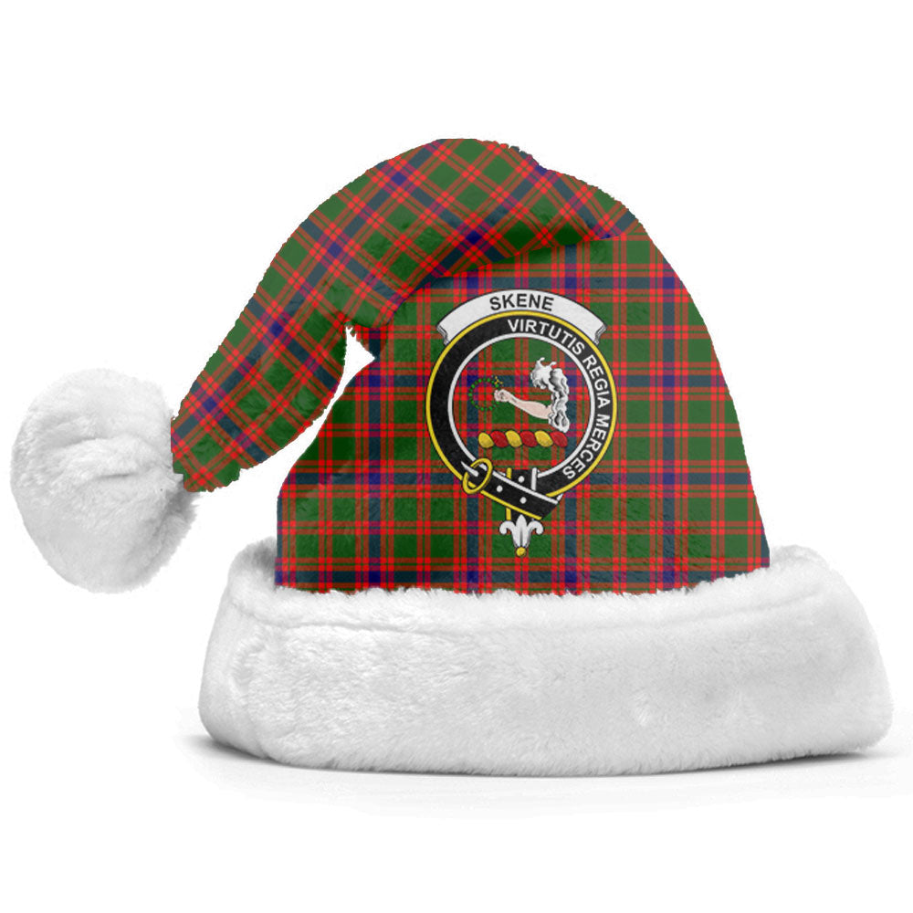 Skene Modern Tartan Crest Christmas Hat